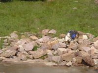 amethystTripReport_1.jpg amethystTripReport_1.jpg