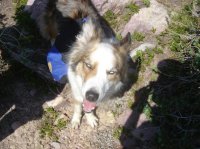 amethystTripReport_15.jpg amethystTripReport_15.jpg