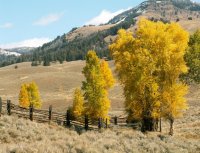 Yellowstone 06\' 015.jpg