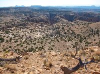 southern-baptist-canyon-1.jpg southern-baptist-canyon-1.jpg