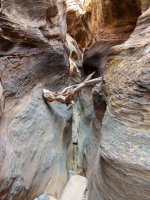 southern-baptist-canyon-3.jpg