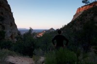 fat-mans-misery-zion-2.jpg fat-mans-misery-zion-2.jpg