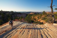 fat-mans-misery-zion-5.jpg fat-mans-misery-zion-5.jpg