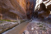 fat-mans-misery-zion-20.jpg fat-mans-misery-zion-20.jpg