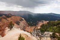 sfg (1 of 1) (Large).jpg