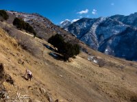 BigCottonwoodHikeTavaci_02052012.jpg