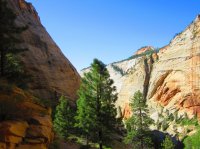 Copy of IMG_0386.JPG