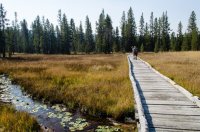 DSC_4559.jpg DSC_4559.jpg