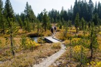 DSC_4562.jpg DSC_4562.jpg