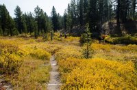 DSC_4564.jpg DSC_4564.jpg