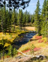 DSC_4568.jpg DSC_4568.jpg