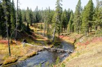 DSC_4575.jpg DSC_4575.jpg