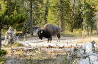 DSC_4612.jpg DSC_4612.jpg