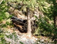 DSC_4636.jpg DSC_4636.jpg