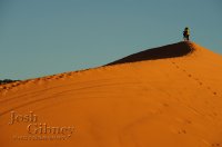 coralpinkdunes.jpg coralpinkdunes.jpg