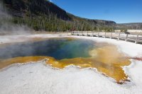 yellowstone-geyser-basins-7.jpg