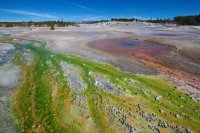 yellowstone-14.jpg