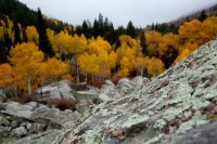 10132012_LittleCottonwoodFallColors-8.jpg