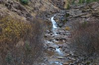 DSC_0353.JPG DSC_0353.JPG