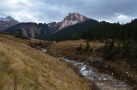 DSC_0398.JPG DSC_0398.JPG