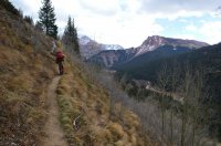 DSC_0411.JPG DSC_0411.JPG