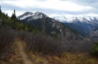 DSC_0445.JPG DSC_0445.JPG