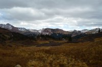 DSC_0484.JPG DSC_0484.JPG