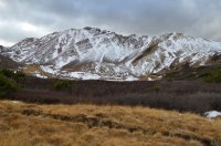 DSC_0568.JPG DSC_0568.JPG