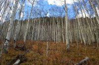 DSC_0176.JPG DSC_0176.JPG