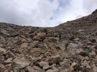 IMG_7781.JPG IMG_7781.JPG