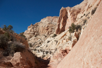 Screen Shot 2016-11-10 at 7.29.18 AM.png