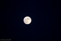 Supermoon-44.jpg