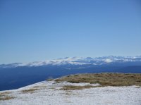 IMG_0606.JPG IMG_0606.JPG