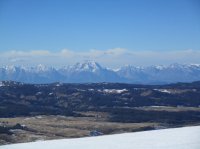 IMG_0619.JPG IMG_0619.JPG