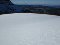 IMG_0637.JPG IMG_0637.JPG