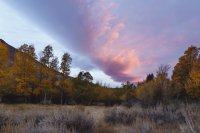 10.10.16 My campsite.jpg