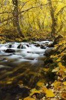 10.10.16 McGee Creek Vertical.jpg