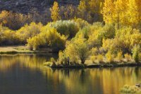 10.11.16 Fly Fishing Intake II.jpg