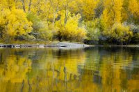 10.12.16 Convict Lake Reflections.jpg