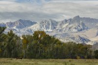 10.14.16 Ranch in Bishop.jpg