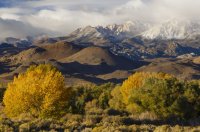 10.16.16 Roadside Scene Bishop.jpg