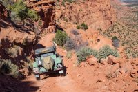 maze-2016-2.jpg maze-2016-2.jpg