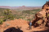 maze-2016-7.jpg maze-2016-7.jpg