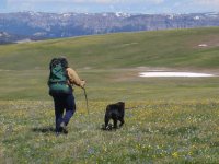 Absaroka Me And Aiko On Breccia Divide.jpg Absaroka Me And Aiko On Breccia Divide.jpg