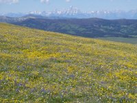 Absaroka Tetons From Breccia Divide.jpg Absaroka Tetons From Breccia Divide.jpg