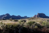 Big Bend-3.jpg