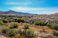 Big Bend-149.jpg