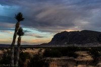 Big Bend-199.jpg