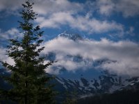 export-1-3 copy 4.jpg