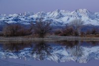 1.24.16 Venus Belt Sierra.jpg